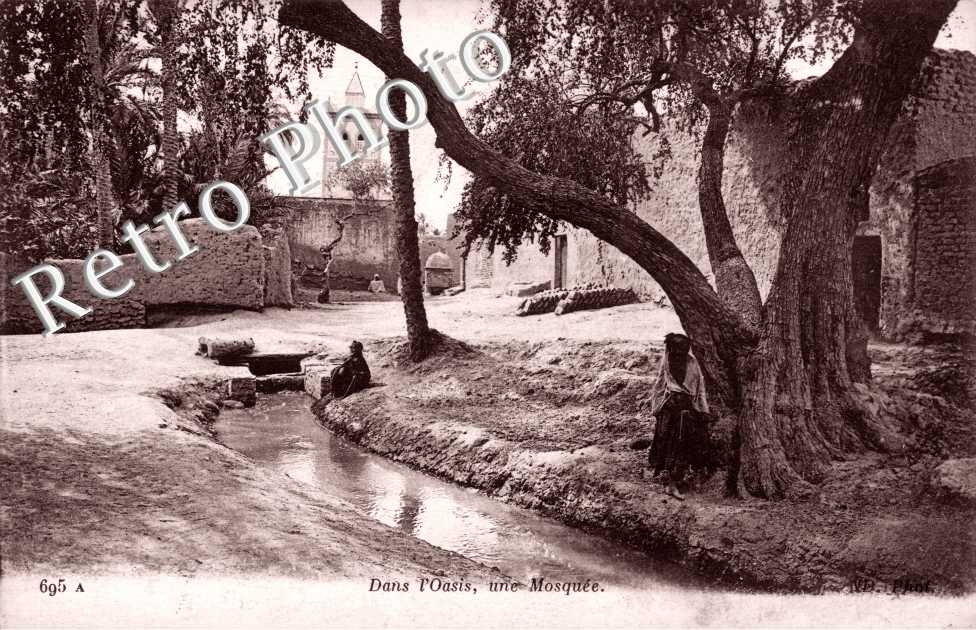 Une Mosquee dans l&#039;Oasis