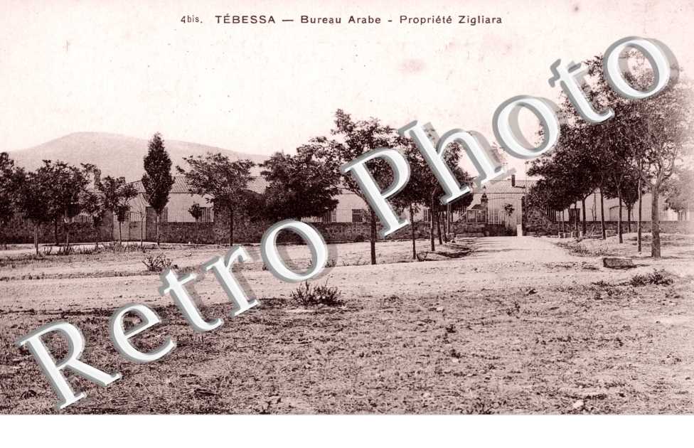 Bureau Arabe, Prorpiete Zigliara