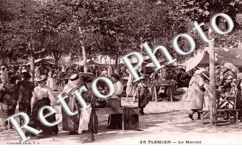 le Marche