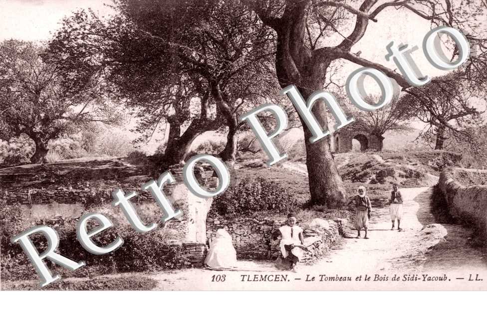 le Tombeau et le Bois de Sidi Yacoiub