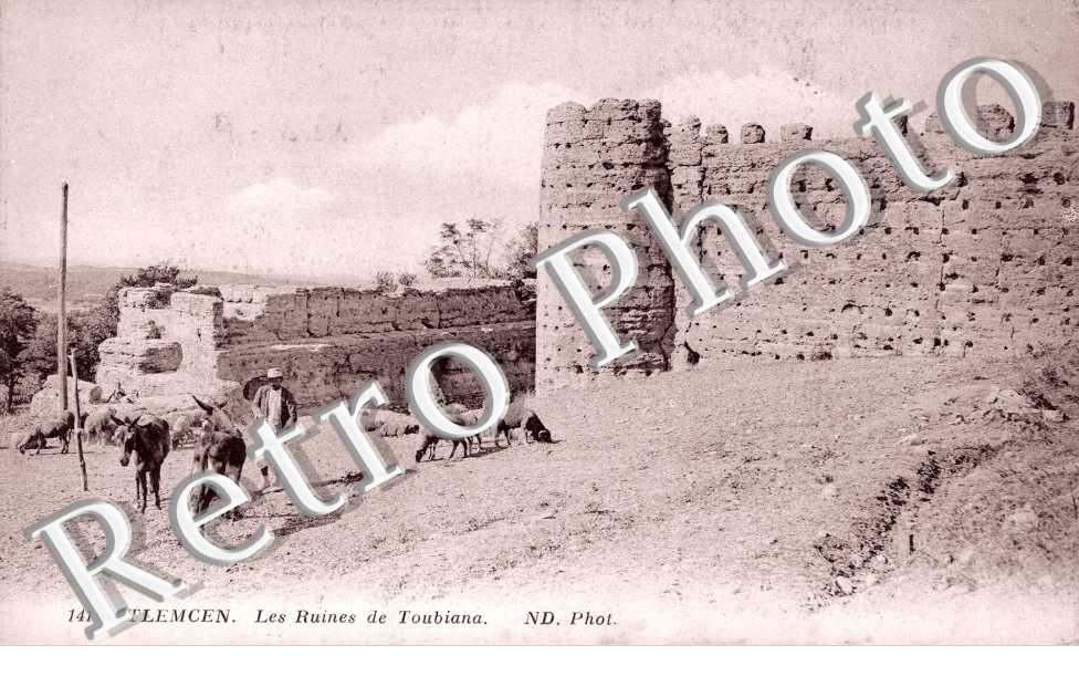 Ruines de Toubiana