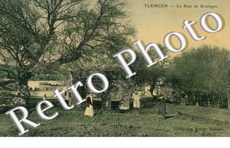le Bois de Boulogne