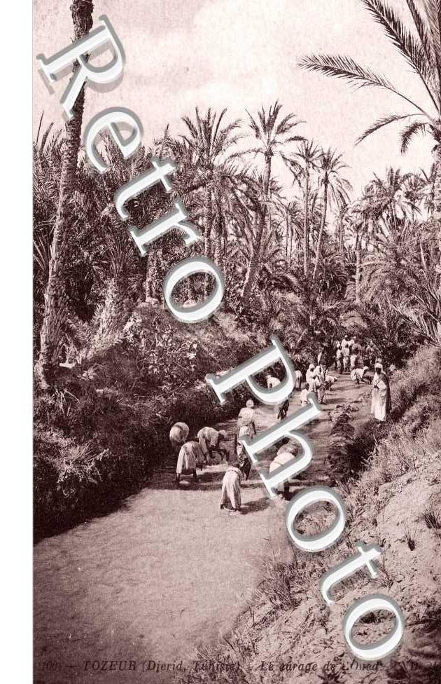 le Curage de l&#039;Oued