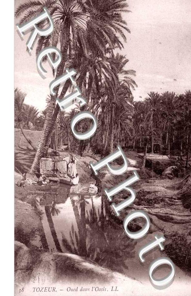 Oued dans l&#039;Oasis