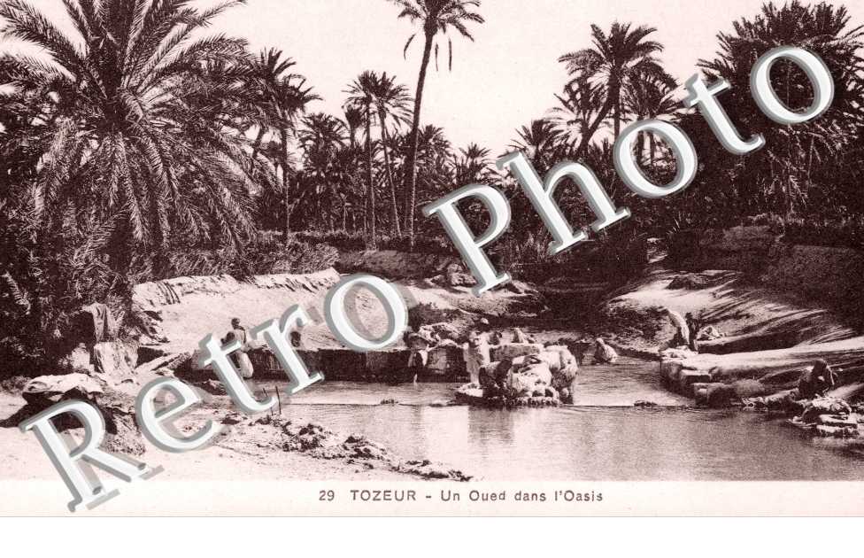 Un Oued dans l&#039;Oasis