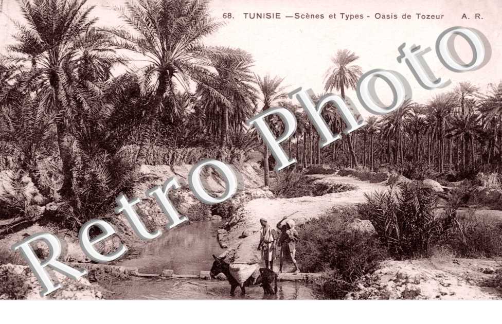 Scenes et Types, Oasis de Tozeur