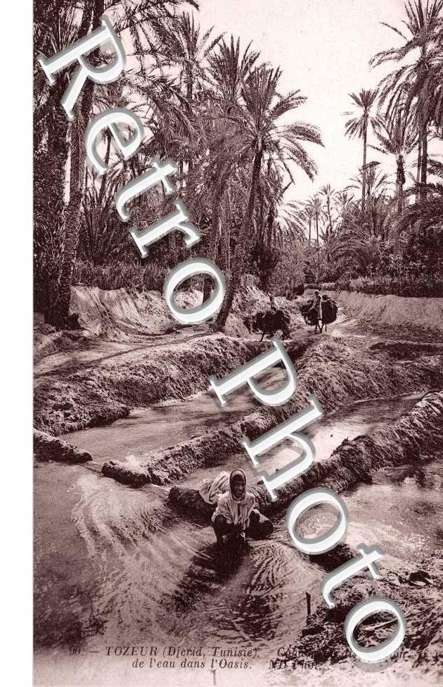 de l&#039;Eau dans l&#039;Oasis