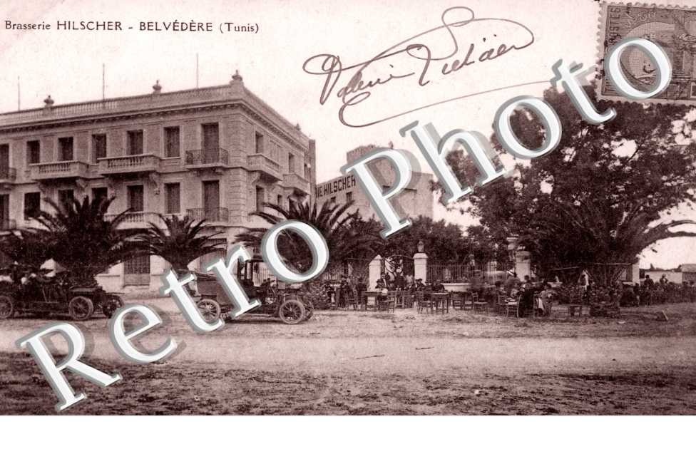 Brasserie Hilscher, Belvedere