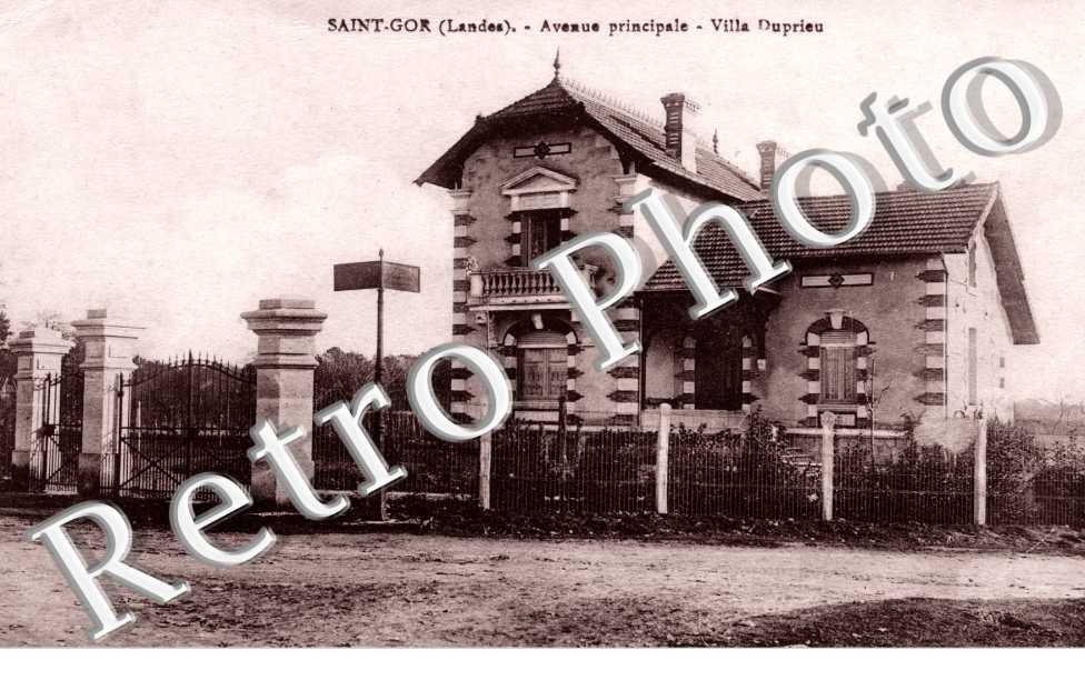 Avenue principale - villa Duprieu