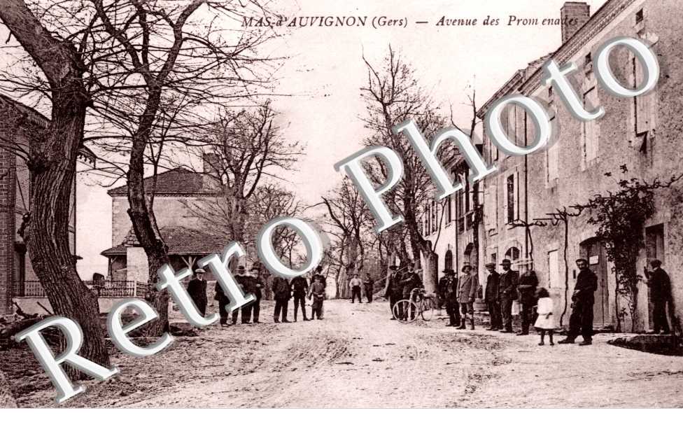 avenue des promenades