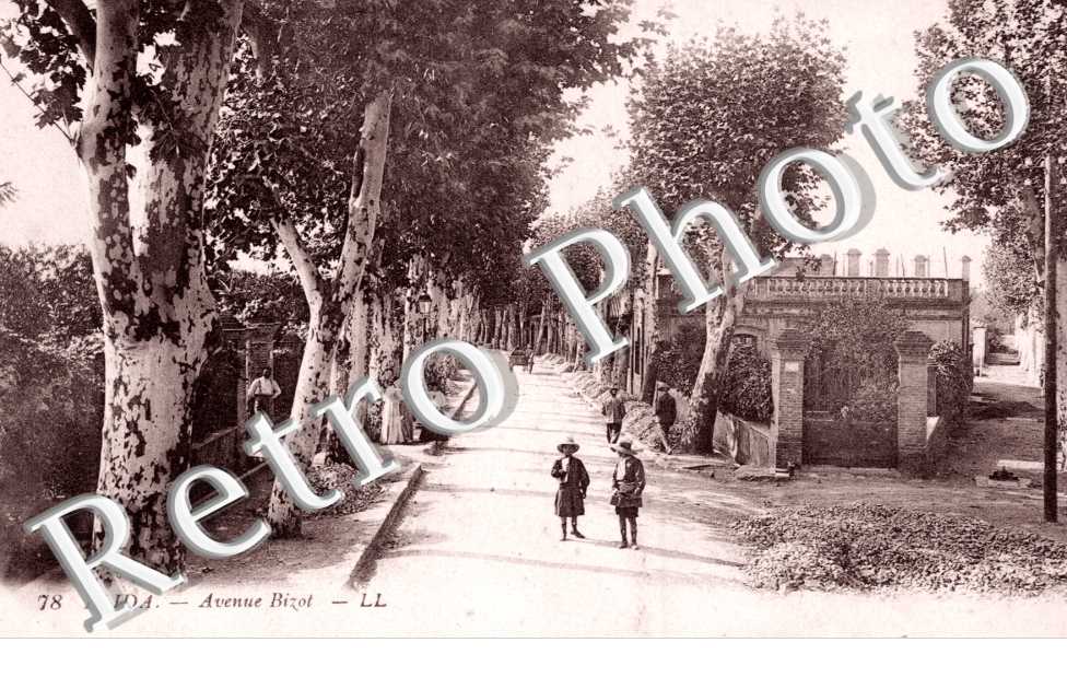 Avenue Bizot