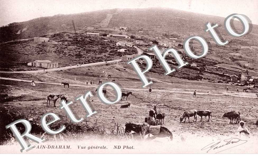 Vue Generale