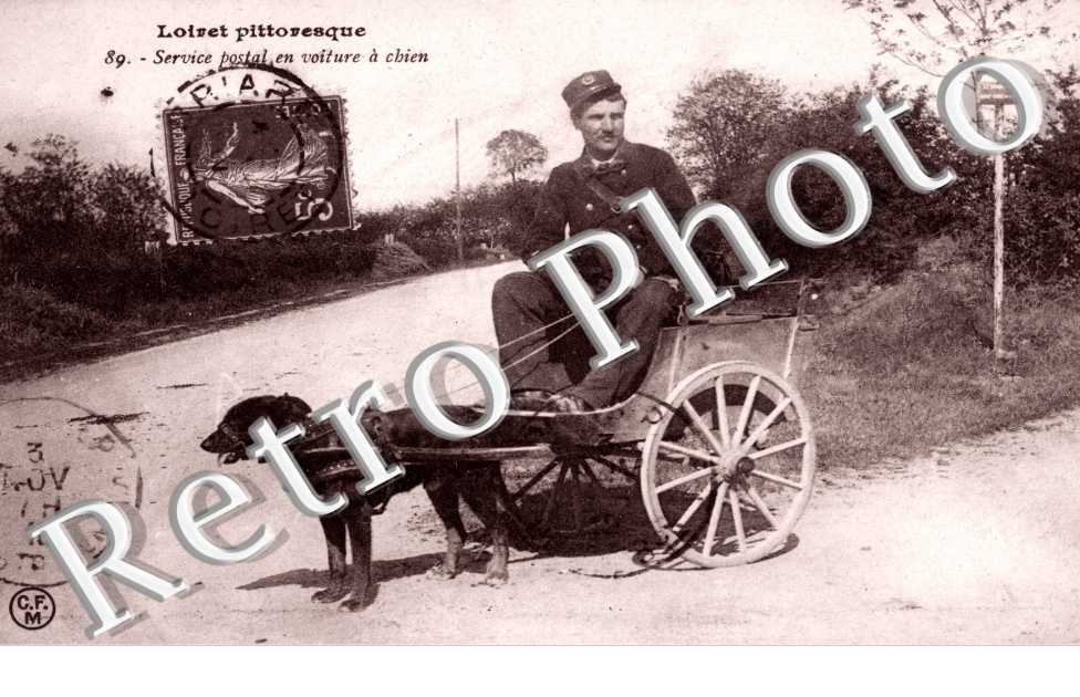 Service postal en voiture a chien