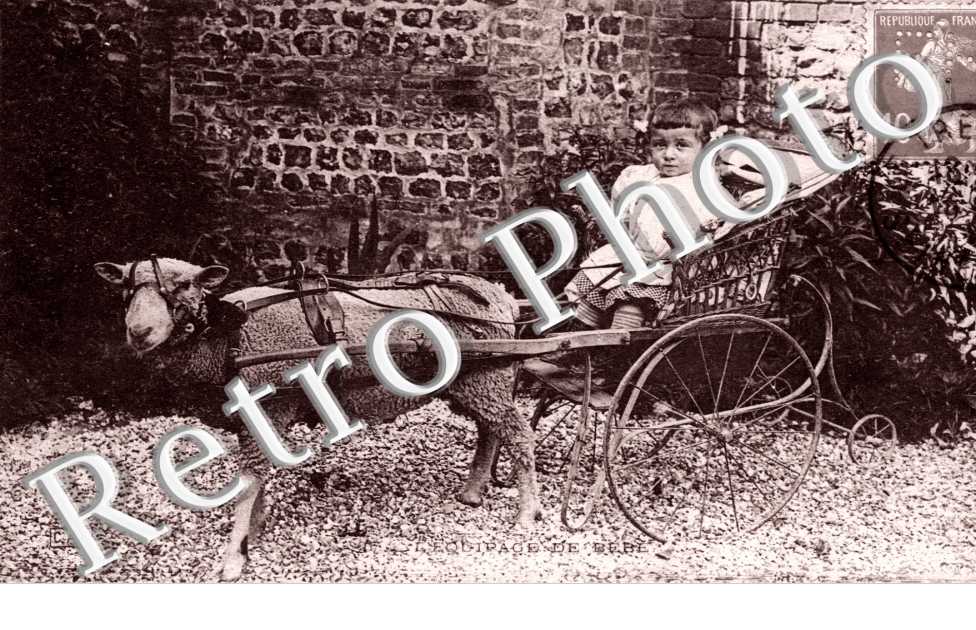 equipage de bebe