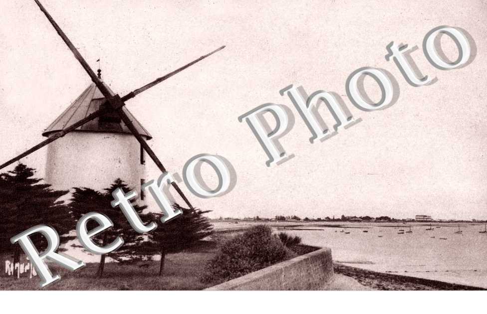 La Gueriniere - Moulin du Both - a l&#039;horizon "Le Bon Secours"