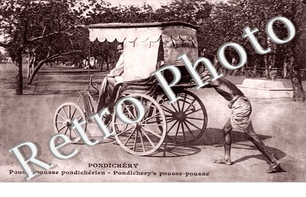 Pousse - Pousse