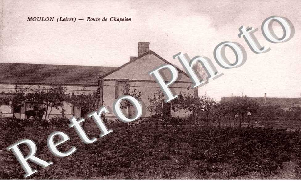 Route de Chapelon