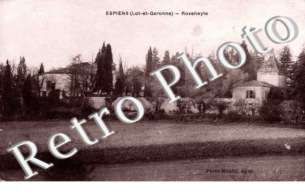 Roseheyte