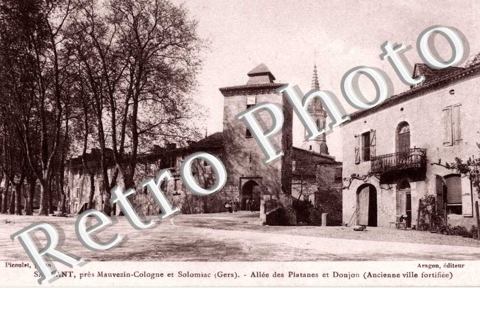 allee des platanes et donjon