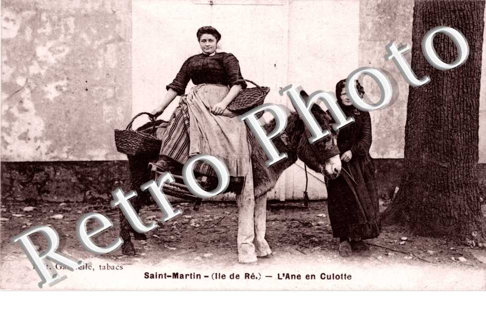 l'ane en Culotte