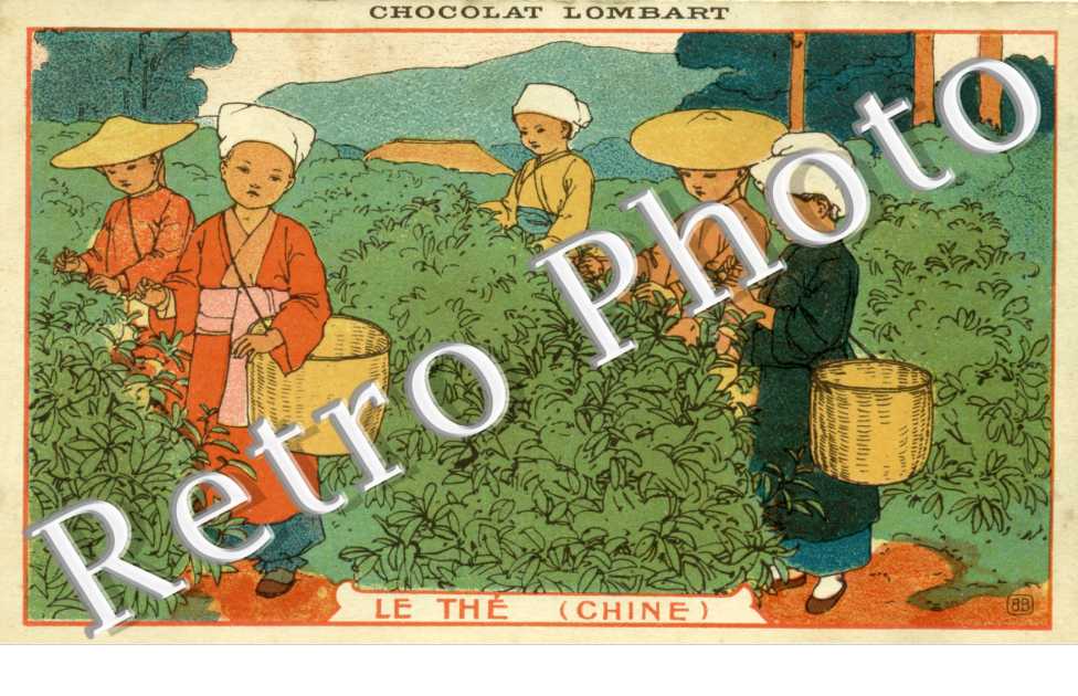 Chocolat Lombart -  Le the Chine