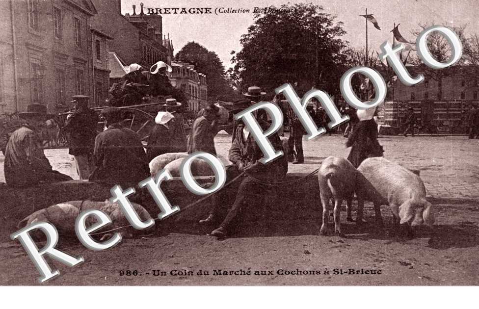 un coin du marche aux cochons