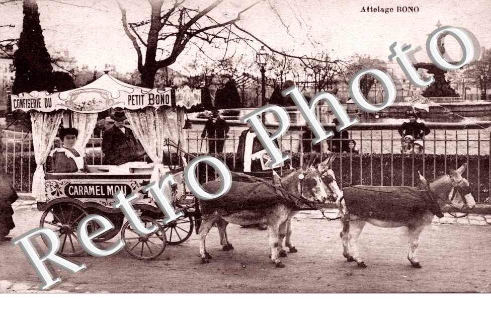 enfance - Attelage Bono