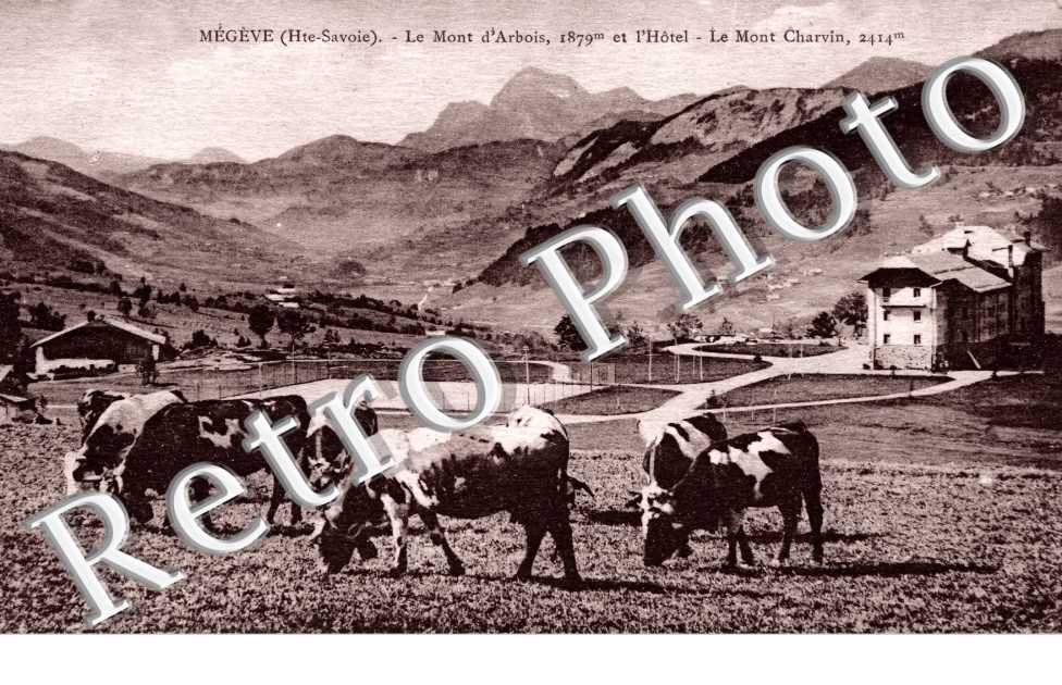 le mont d&#039;Arbois - le mont Charvin