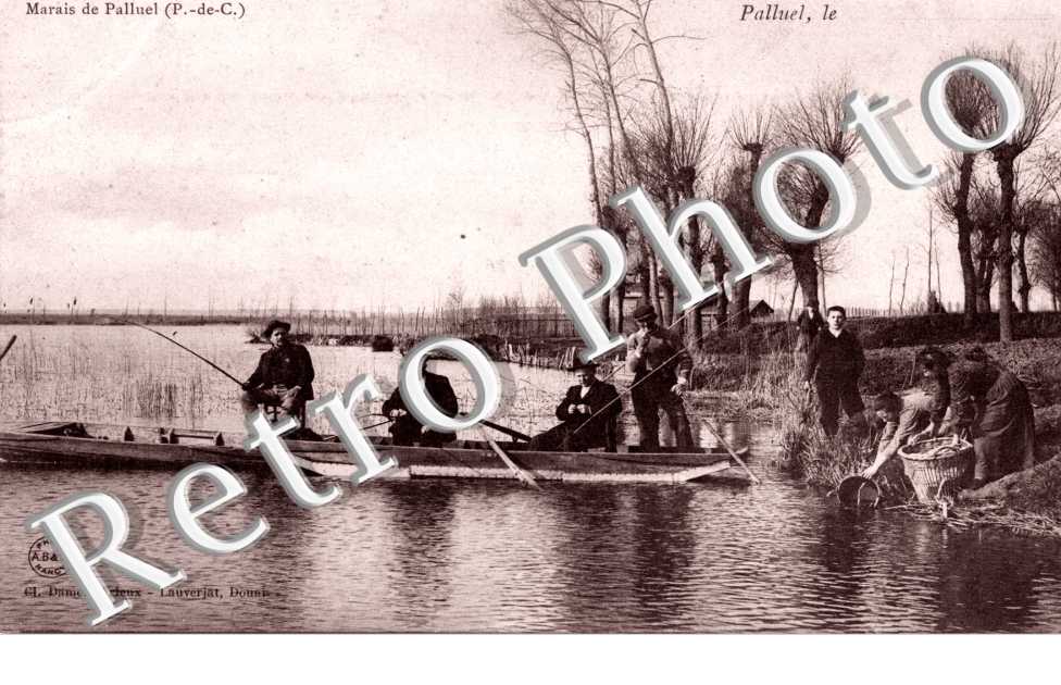 marais de Palluel