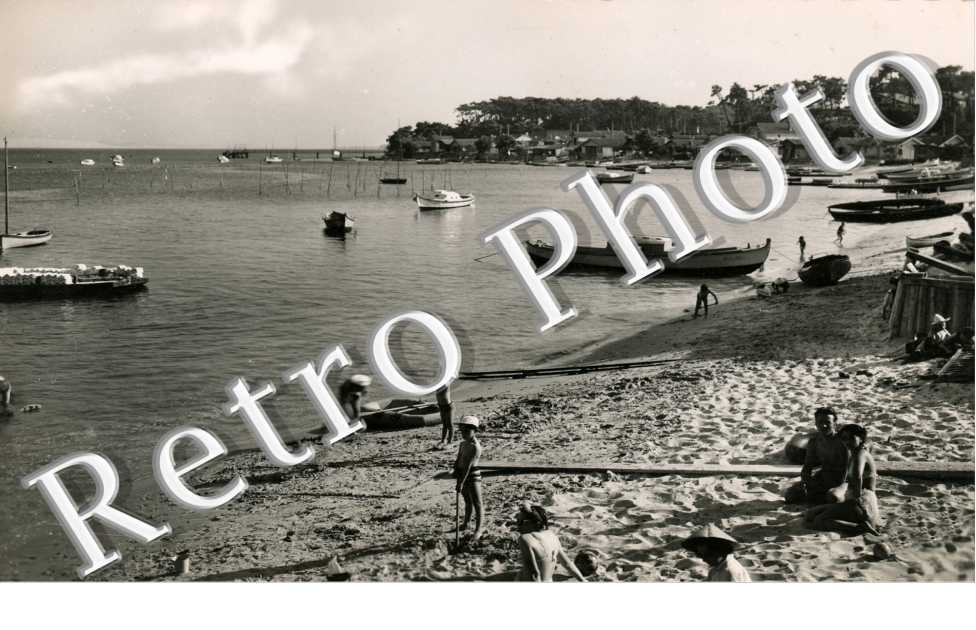 Petit Piquey Pointe aux chevaux
