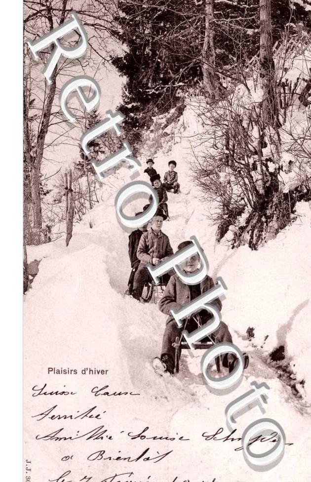 Luge