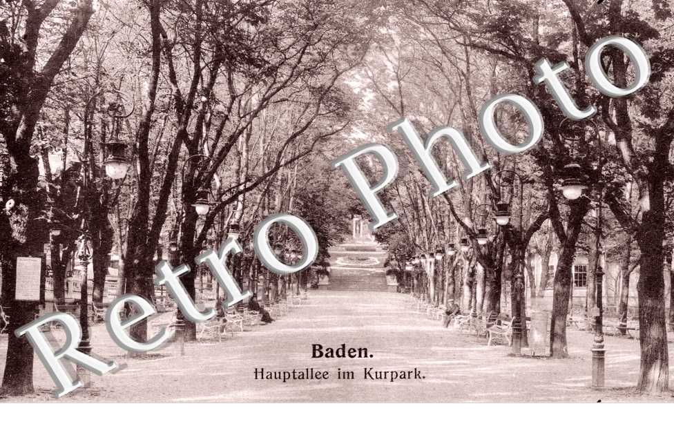 Hauptallee im Kurpark