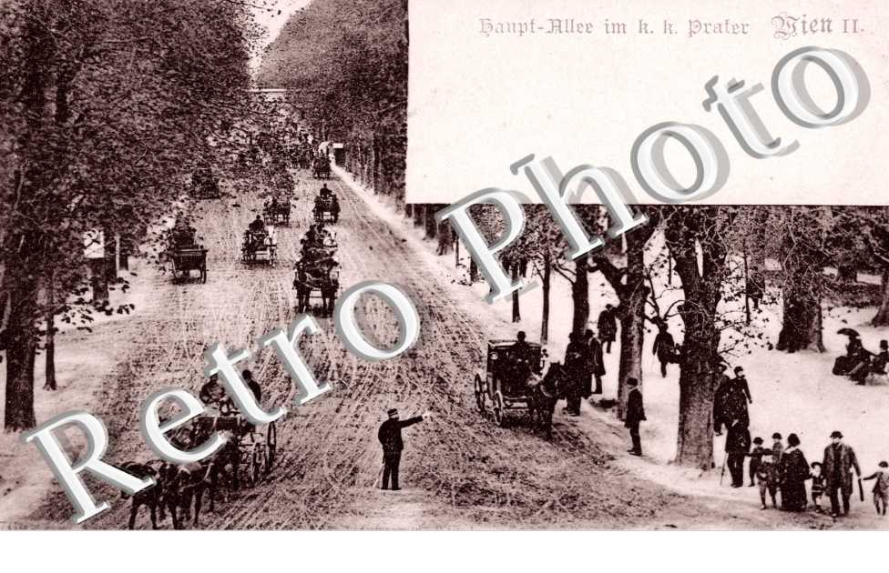 Ssaupt Allee im K. K. Prater