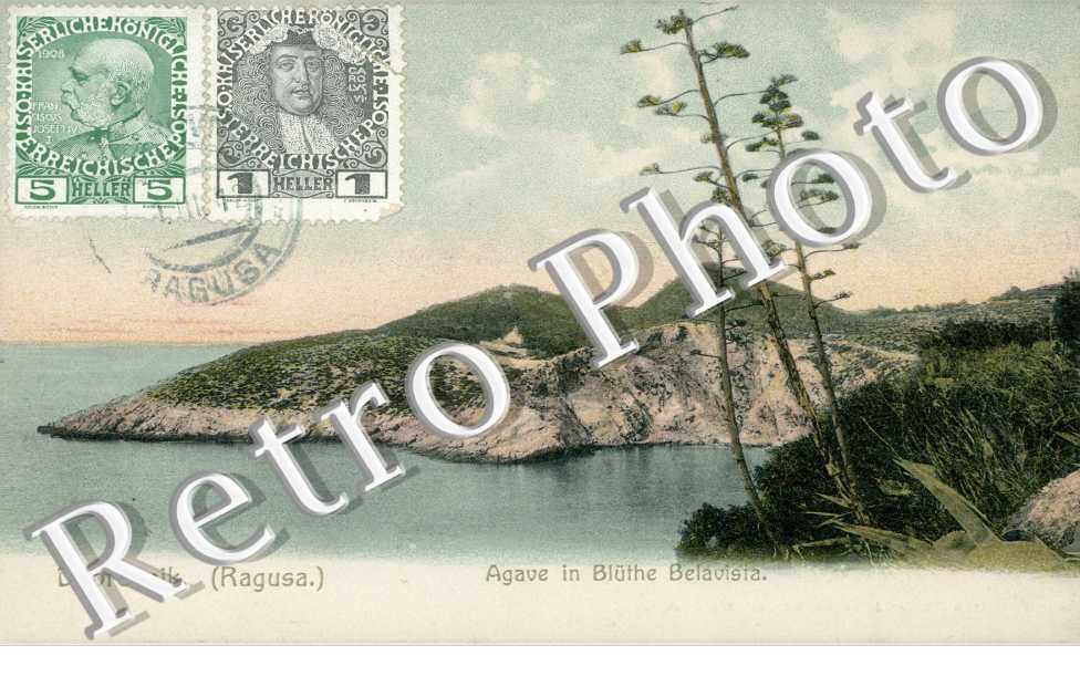 Ragusa, Agave in Bluthe Belavista