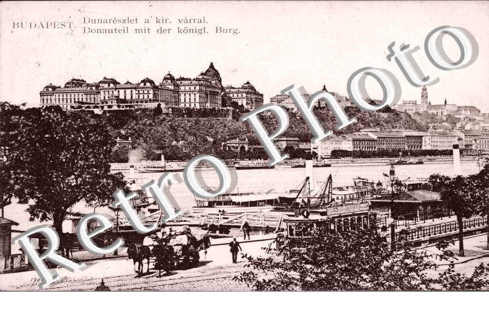 Donauteil mit der Konigl. Burg