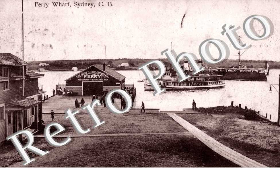 Sydney Harbour and Botanic Gardens