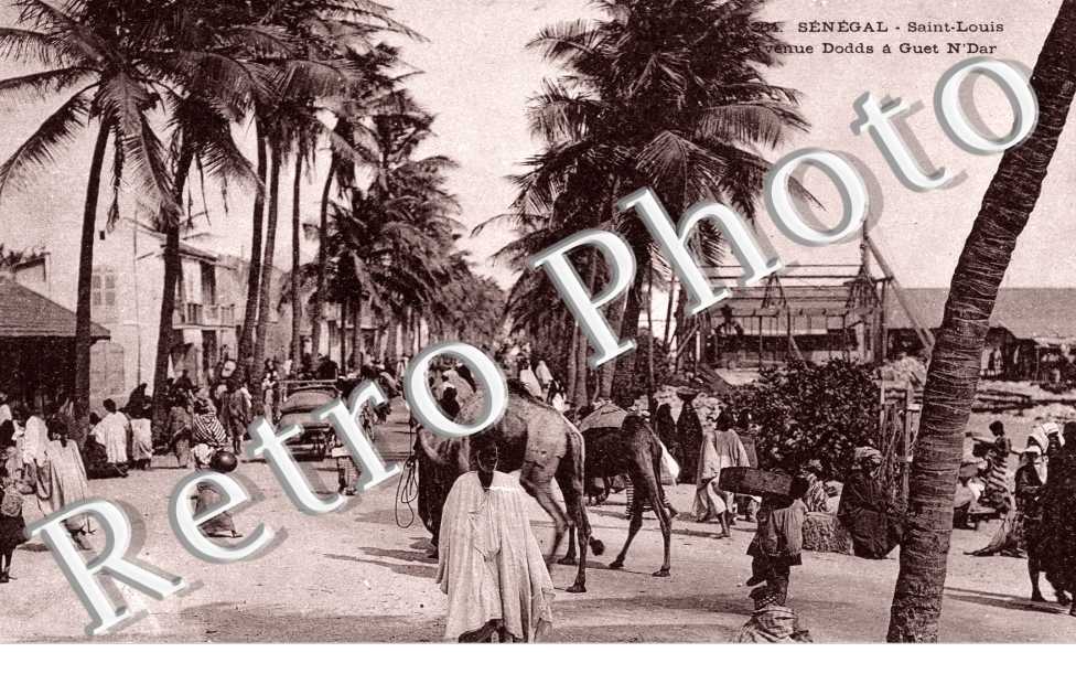 Avenue Dodds a Guet&#039;N&#039;Dar