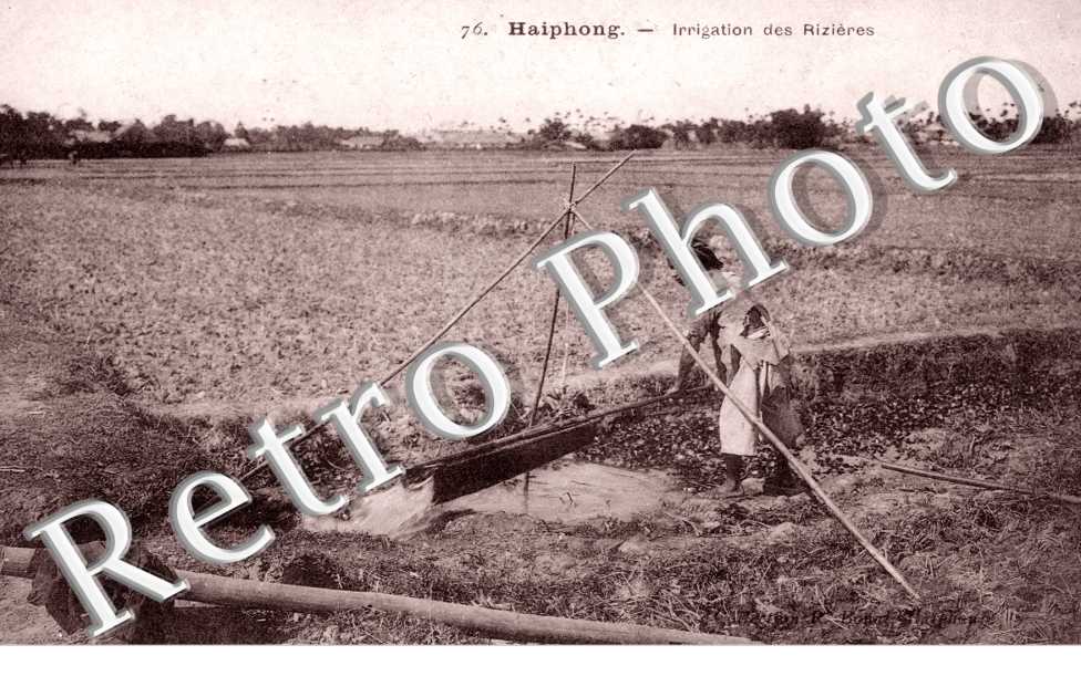 Tonkin, Irrigation des Rizieres