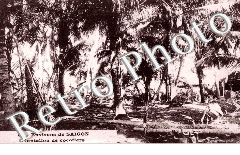 Saigon, Plantation de cocotiers
