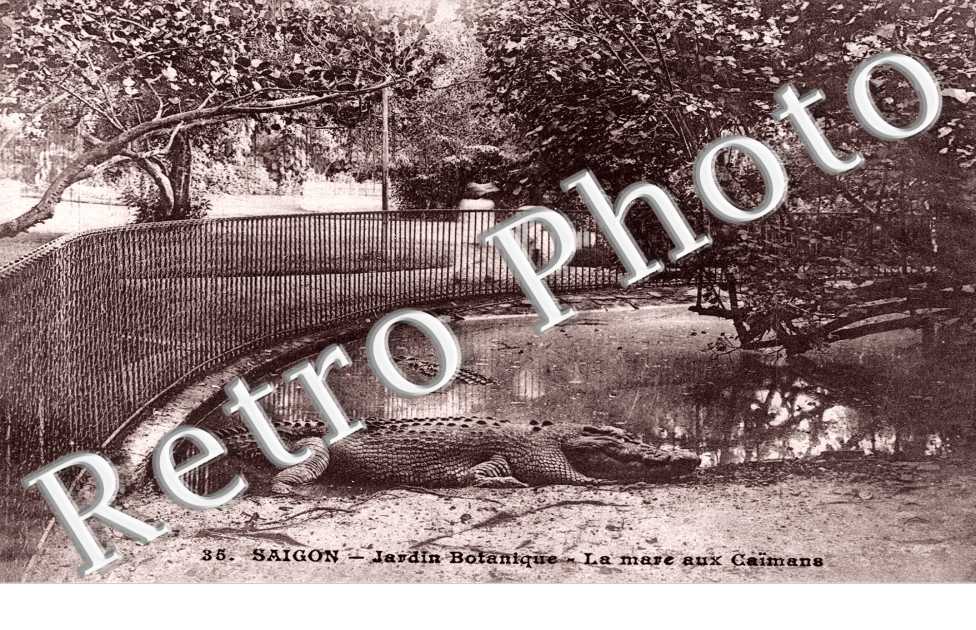 Saigon, Jardin Botanique, la Mare aux Caimans