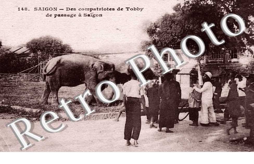 Saigon, Des compatriotes de Tobby