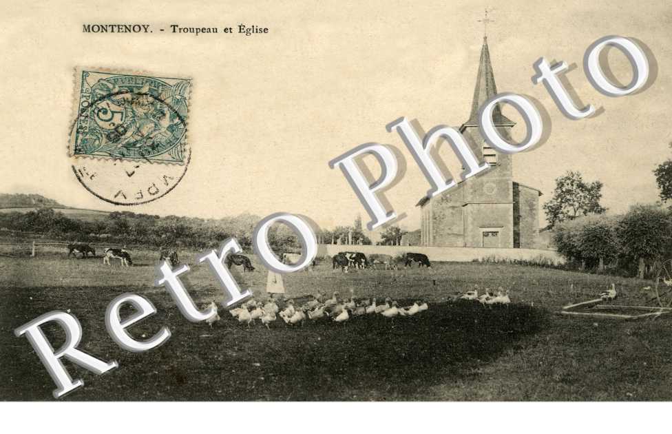 Troupeau et eglise