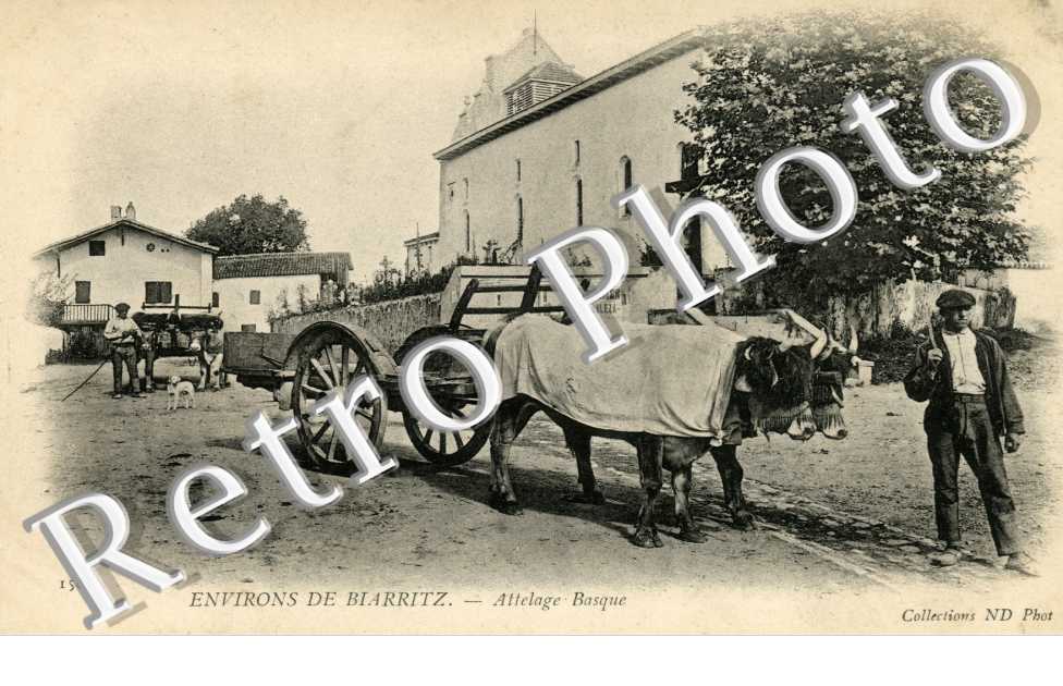 Attelage basque  Environs de Biarritz