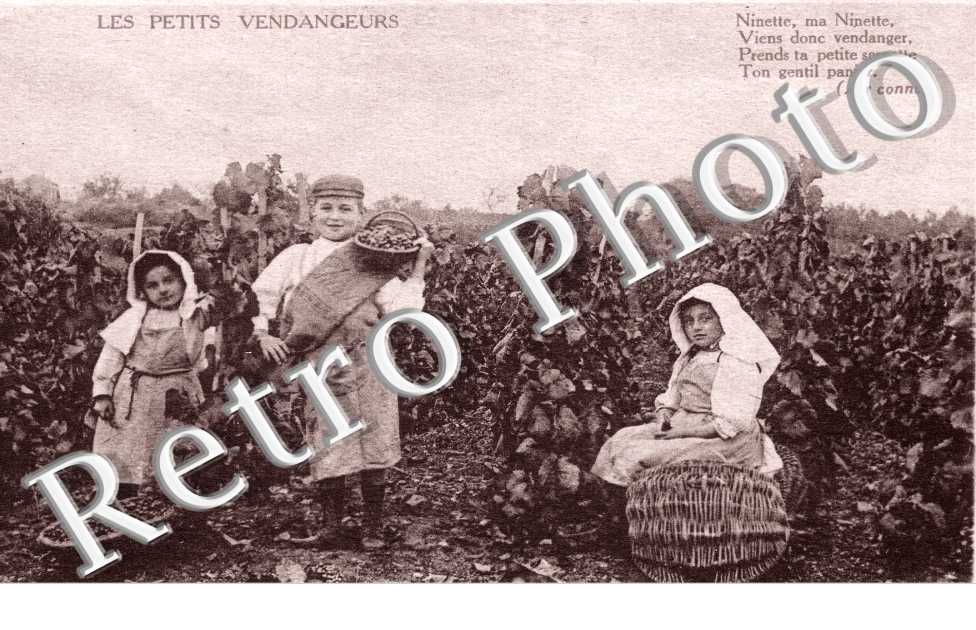 LES PETITS VENDAGEURS, Ninetten ma ninette, viens donc vendanger, prends ta petite serpette ton gentil panier