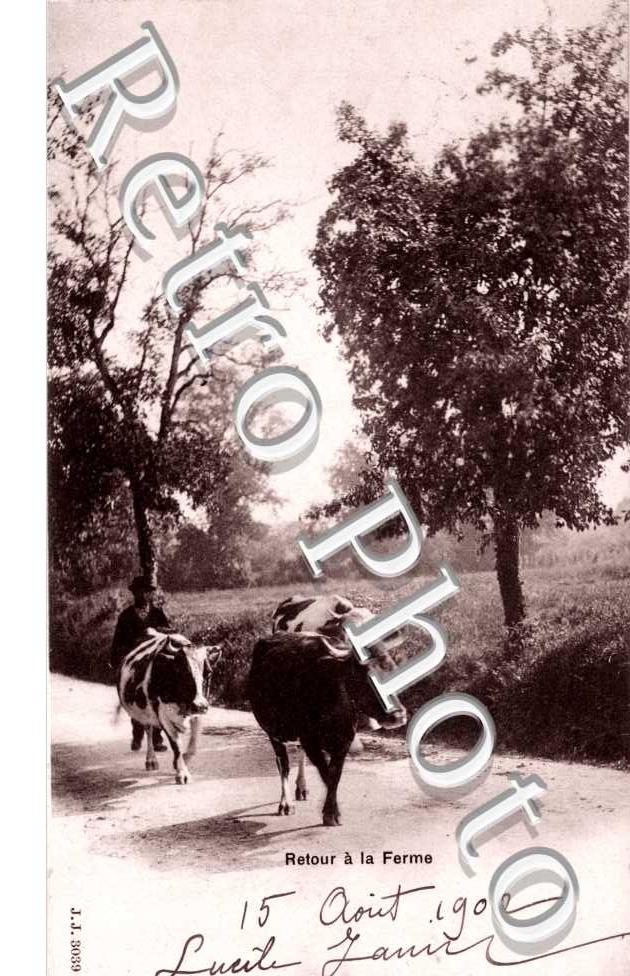 Retour a la ferme