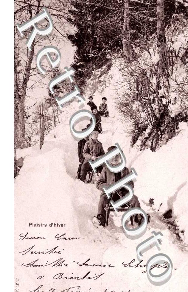 Luge