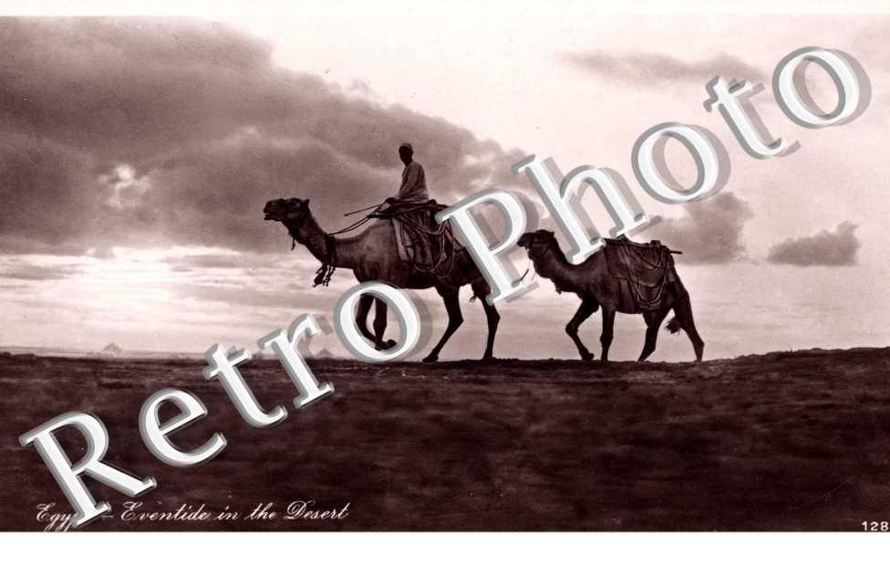 Eventide in the Desert