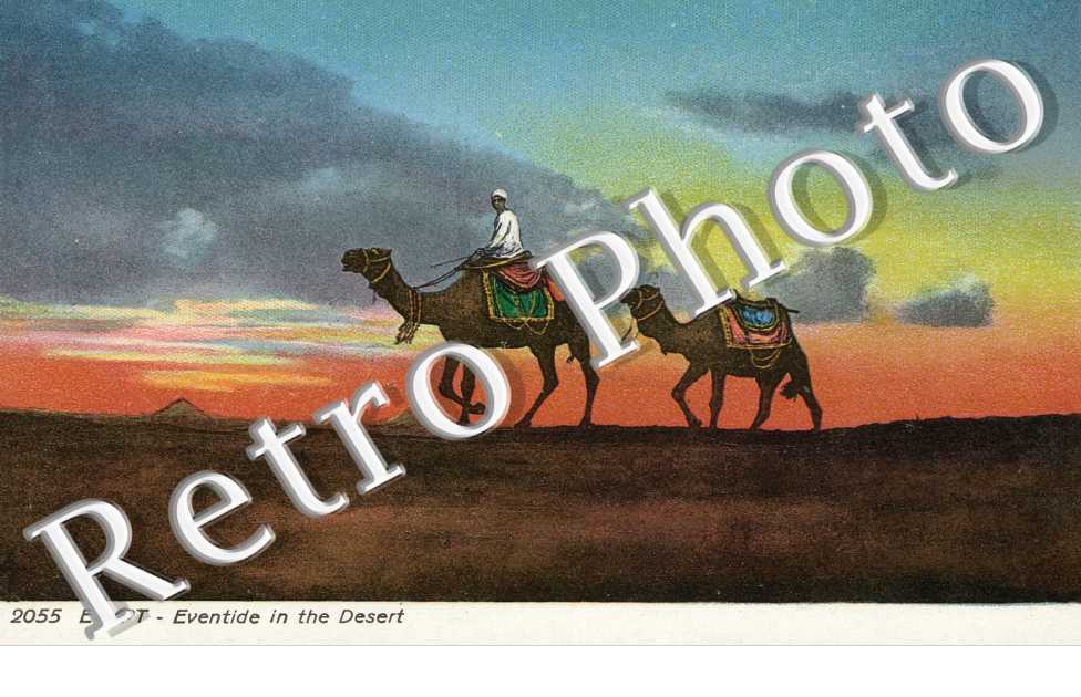 Eventide in the Desert