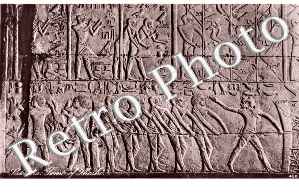 Sakkara : Tomb of Sheshi