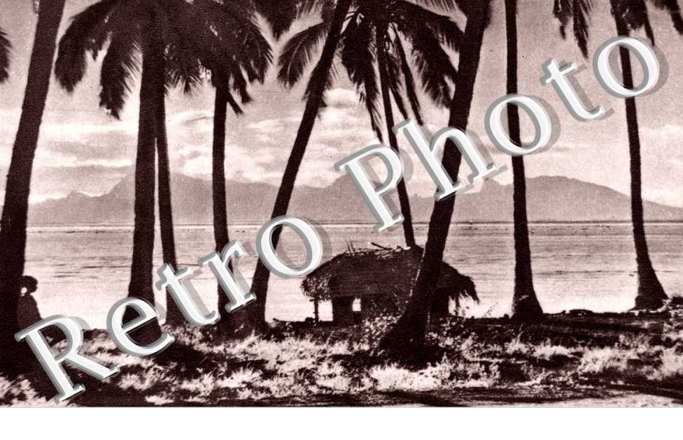 Paysage tahitien